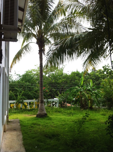 3 bed Condo For Sale in Playas Del Coco, Guanacaste - thumb 4