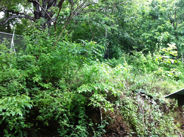 3 bed Condo For Sale in Playas Del Coco, Guanacaste - thumb 5