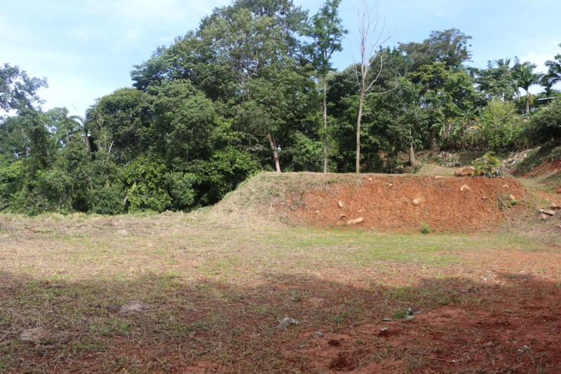 0 bed Land For Sale in Dominical, Puntarenas - thumb 3