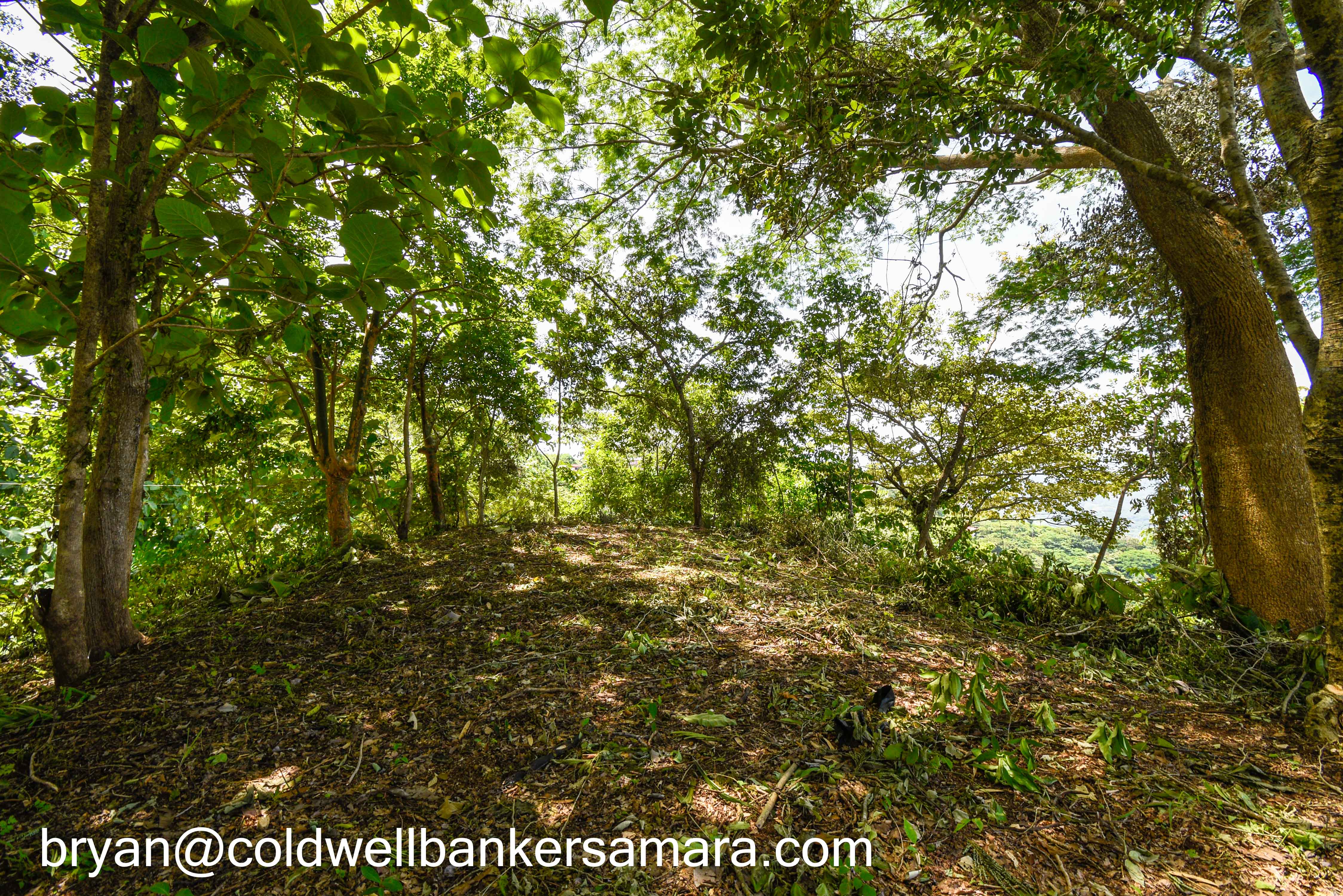 0 bed Land For Sale in Playa Carrillo, Guanacaste - thumb 6