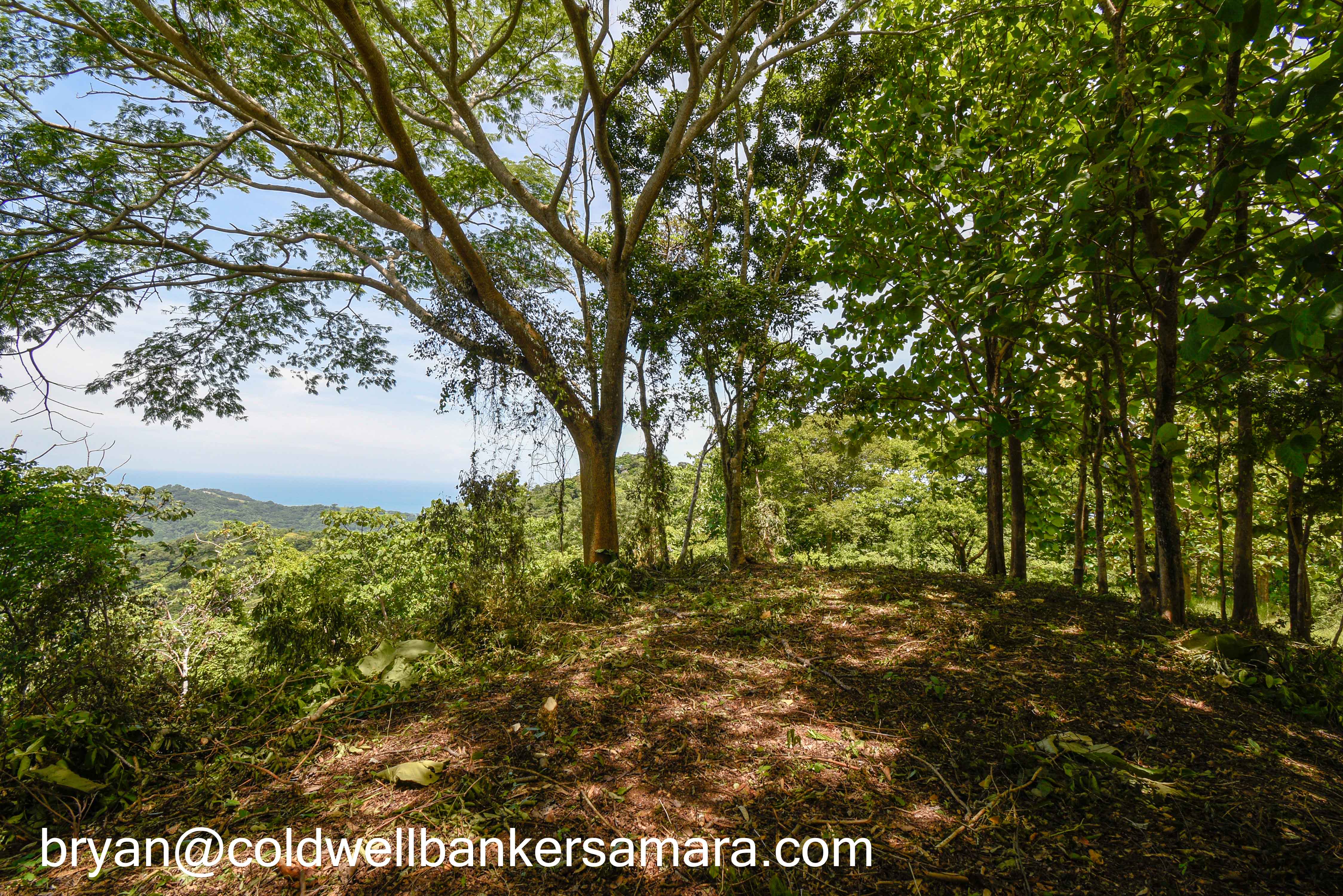 0 bed Land For Sale in Playa Carrillo, Guanacaste - thumb 7