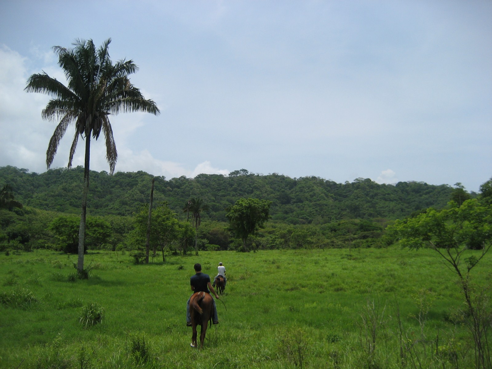 0 bed Land For Sale in Tambor, Puntarenas - thumb 21