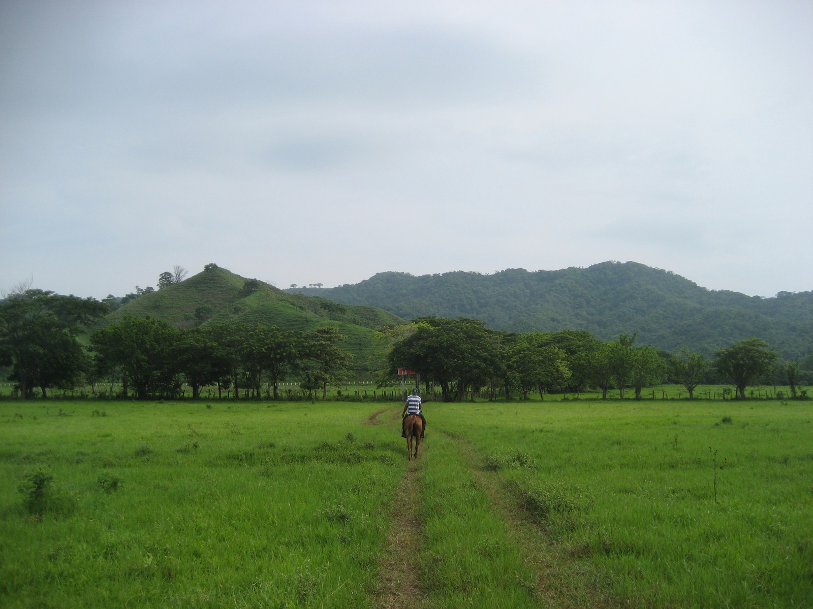 0 bed Land For Sale in Tambor, Puntarenas - thumb 23
