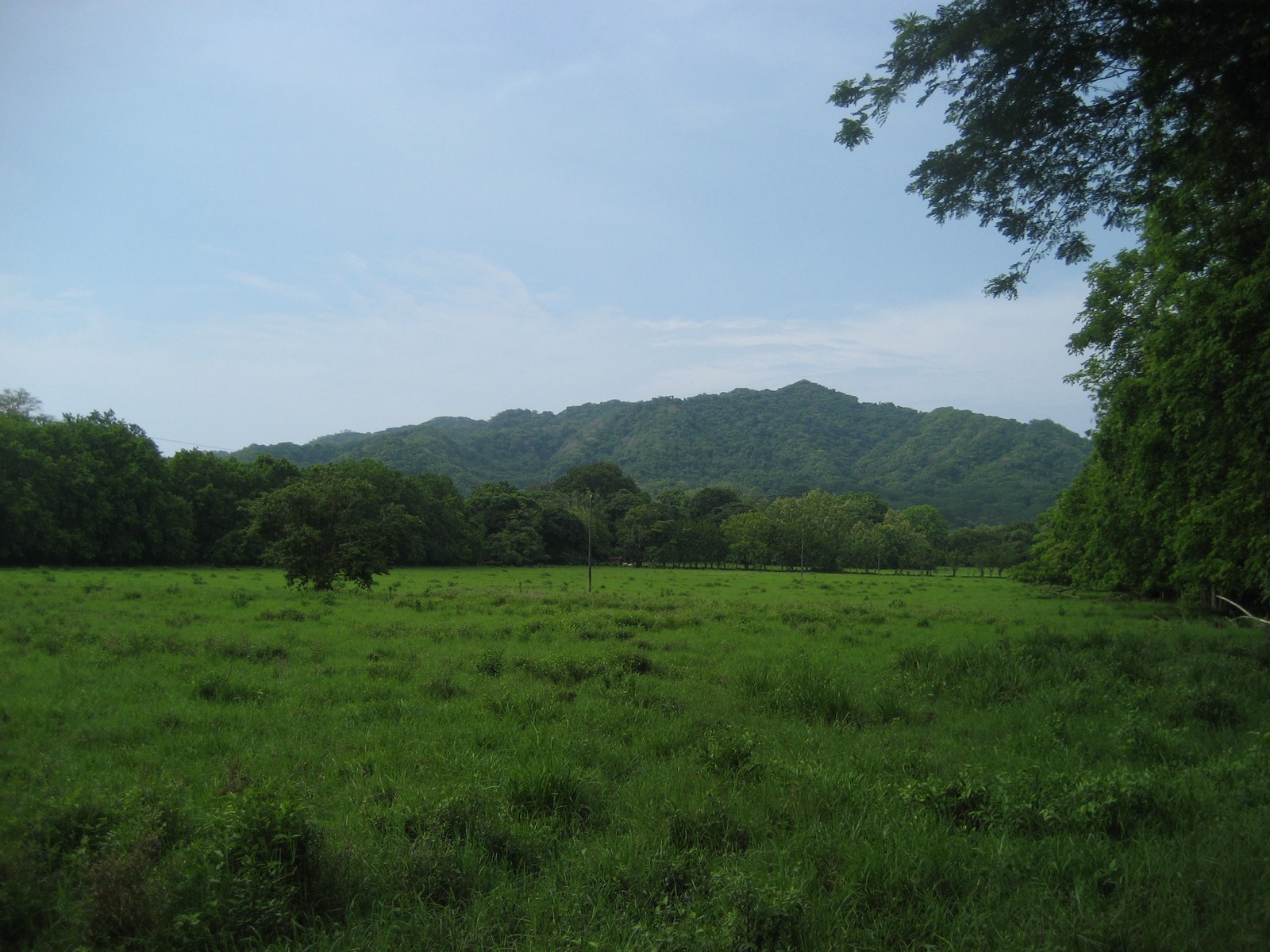 0 bed Land For Sale in Tambor, Puntarenas - thumb 22