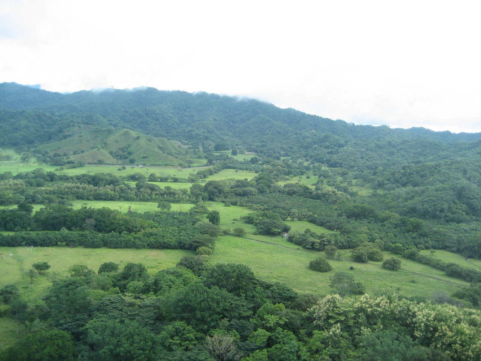 0 bed Land For Sale in Tambor, Puntarenas - thumb 17