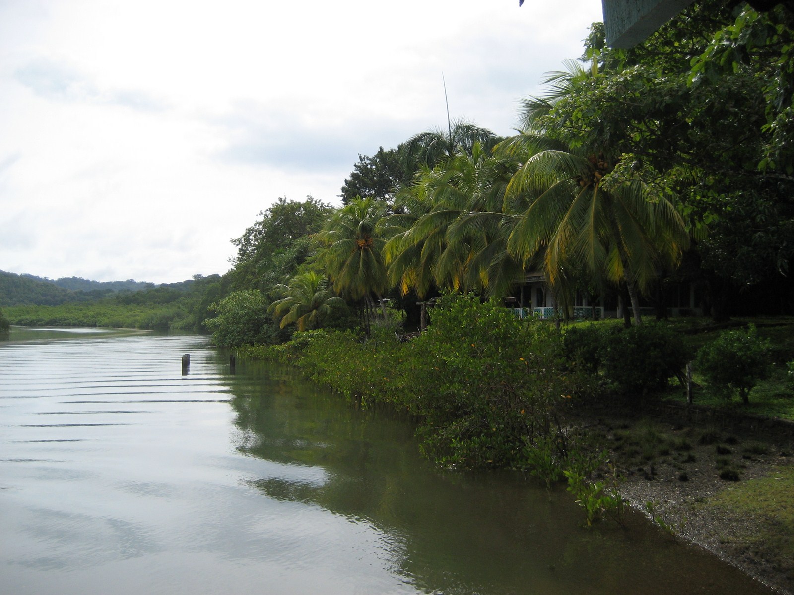 0 bed Land For Sale in Tambor, Puntarenas - thumb 27