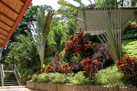 3 bed Single Family Homes For Sale in Manuel Antonio, Puntarenas - thumb 30