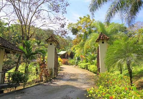 3 bed Single Family Homes For Sale in Manuel Antonio, Puntarenas - thumb 16