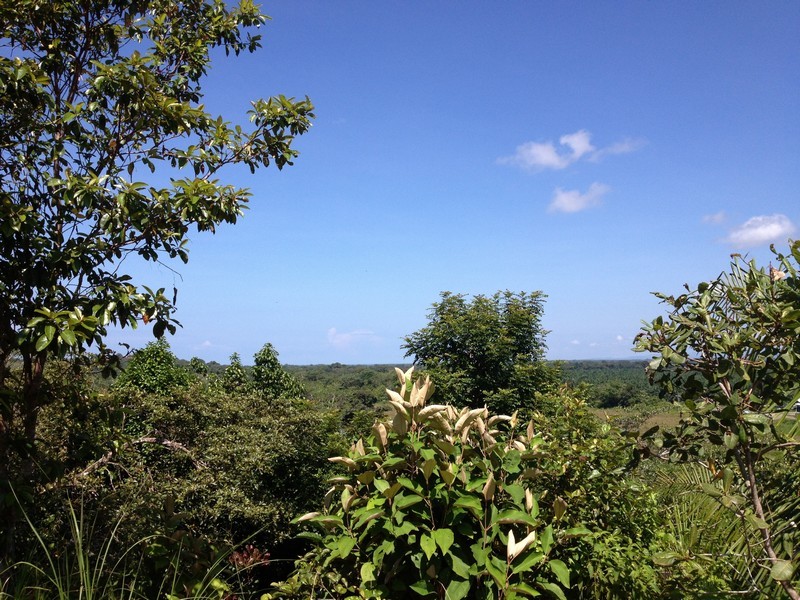0 bed Land For Sale in Manuel Antonio, Puntarenas - 1