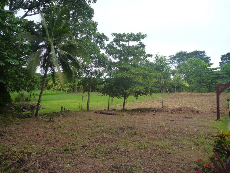 0 bed Land For Sale in Dominical, Puntarenas - 1