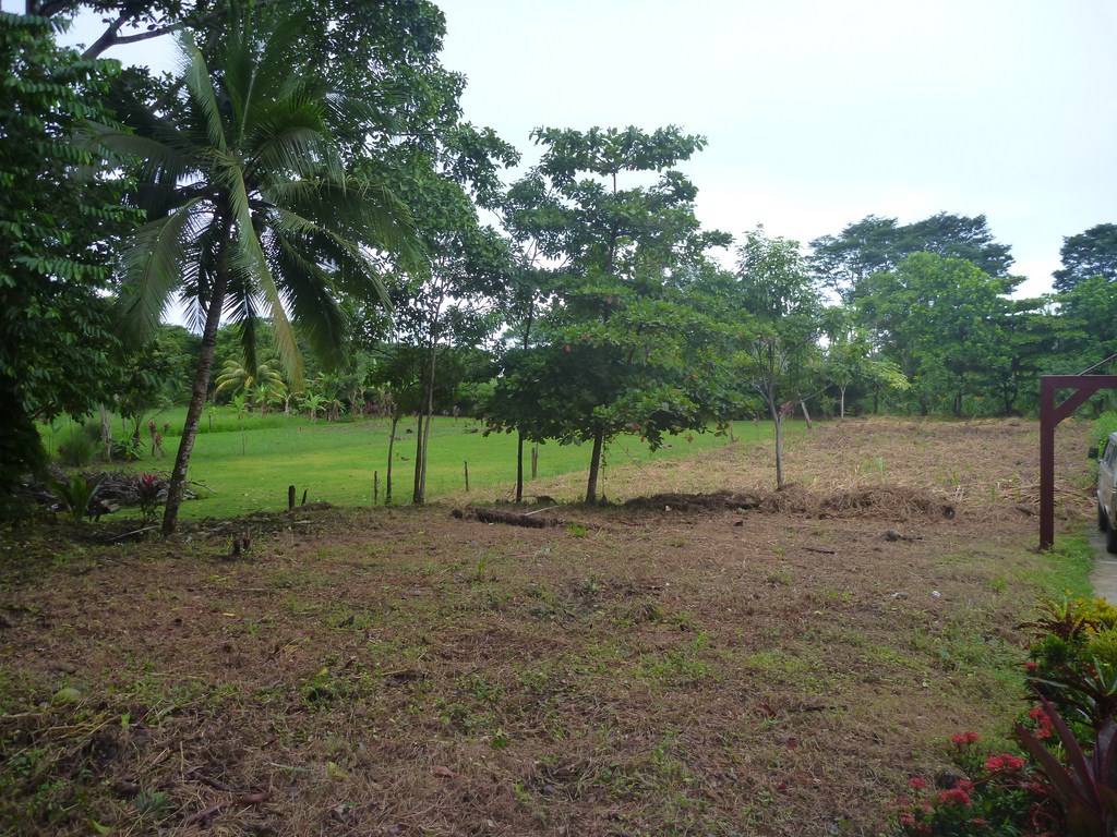 0 bed Land For Sale in Dominical, Puntarenas - thumb 4