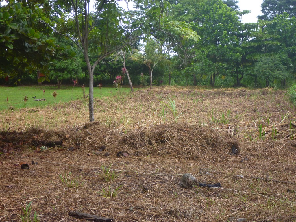0 bed Land For Sale in Dominical, Puntarenas - thumb 7