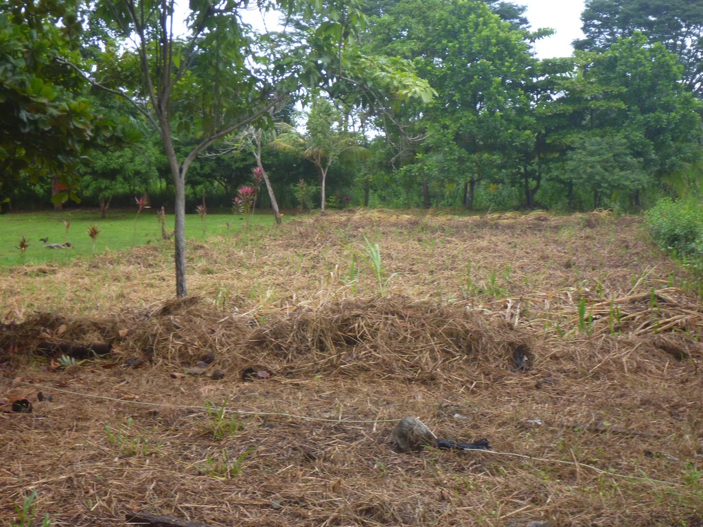 0 bed Land For Sale in Dominical, Puntarenas - thumb 5