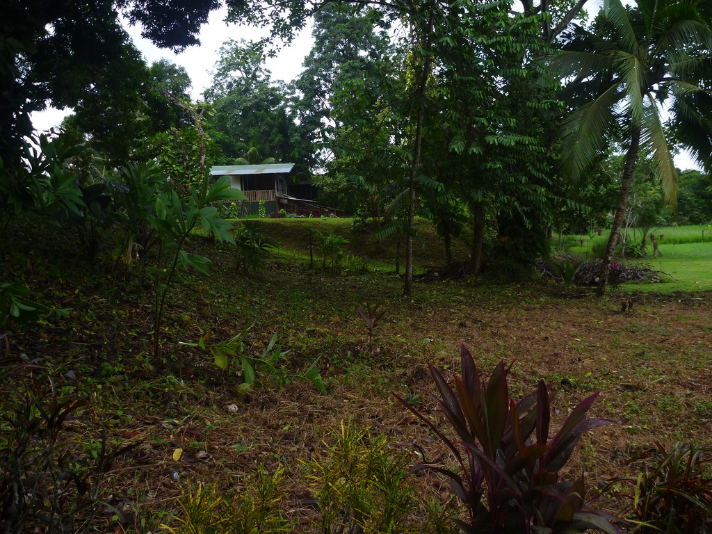0 bed Land For Sale in Dominical, Puntarenas - thumb 8