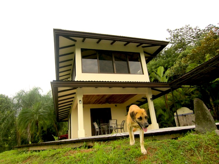 1 bed Single Family Homes For Sale in Ojochal, Puntarenas - thumb 2