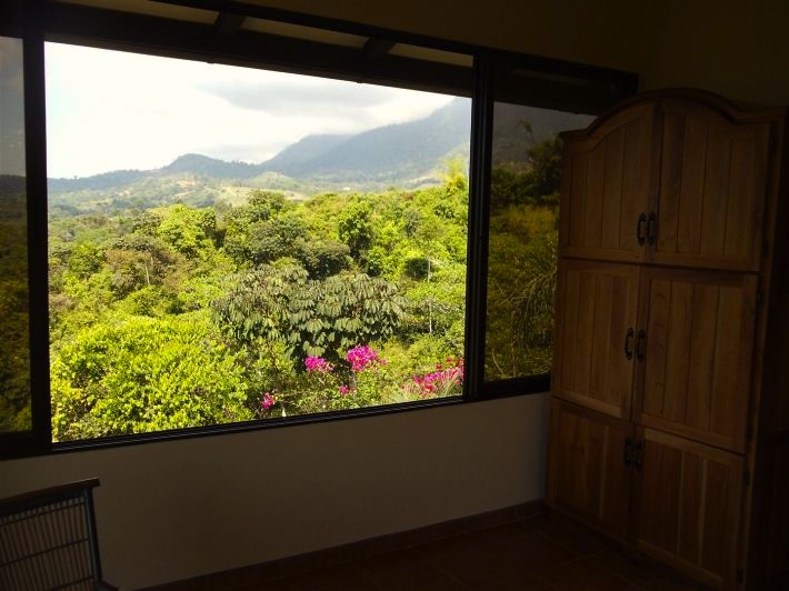 1 bed Single Family Homes For Sale in Ojochal, Puntarenas - thumb 14