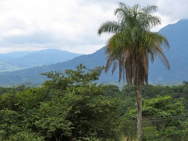0 bed Land For Sale in Orotina, Alajuela - 1