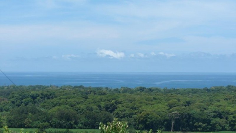 2 bed Single Family Homes For Sale in Dominical, Puntarenas - thumb 2