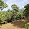  - Panoramic View Development Parcel In Ojochal