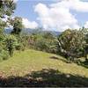  - Panoramic View Development Parcel In Ojochal