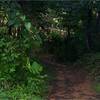  - Panoramic View Development Parcel In Ojochal