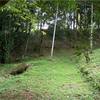  - Panoramic View Development Parcel In Ojochal