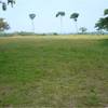  - Panoramic View Development Parcel In Ojochal