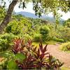  - Panoramic View Development Parcel In Ojochal