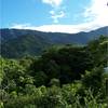  - Panoramic View Development Parcel In Ojochal