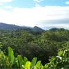  - Panoramic View Development Parcel In Ojochal