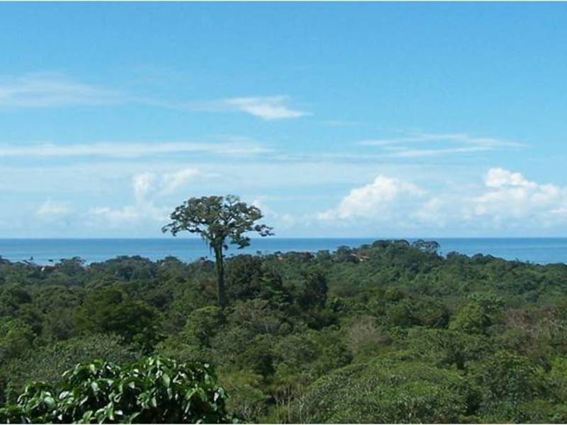 0 bed Land For Sale in Ojochal, Puntarenas - 1