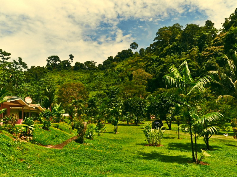 5 bed Land For Sale in Dominical, Puntarenas - thumb 23