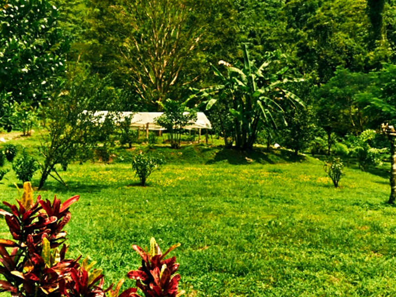 5 bed Land For Sale in Dominical, Puntarenas - thumb 16