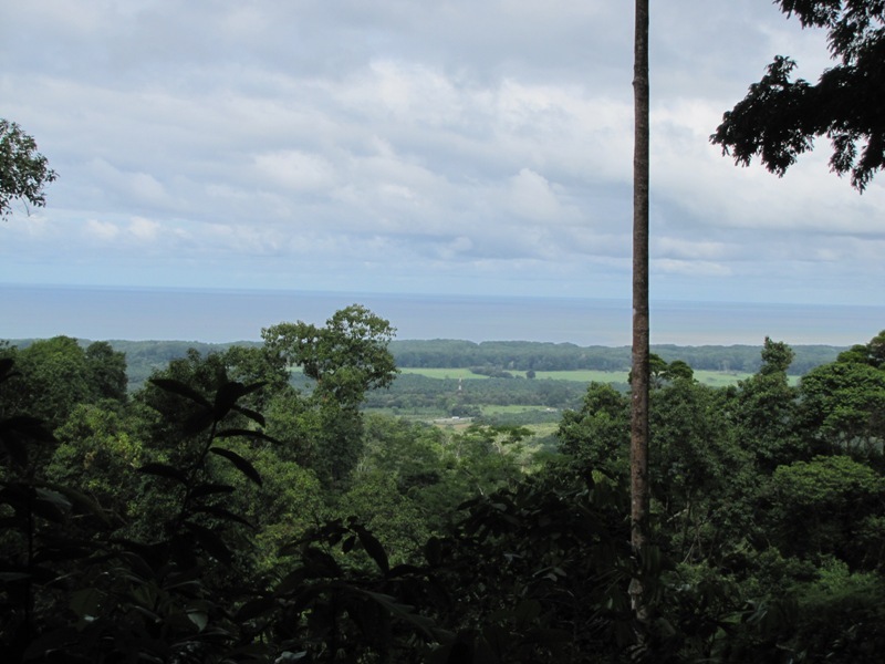 0 bed Land For Sale in Dominical, Puntarenas - 1