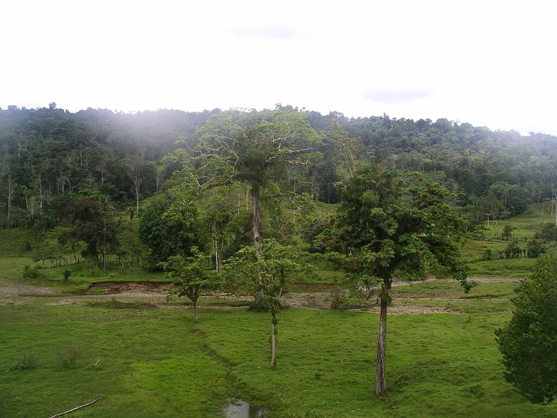 0 bed Land For Sale in Puerto Limon, Limón - 1