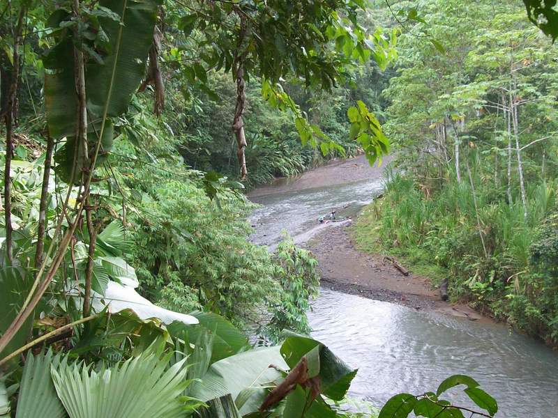0 bed Land For Sale in Puerto Jimenez, Puntarenas - 1
