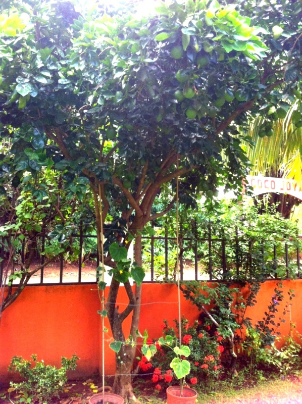 3 bed Single Family Homes For Sale in Playas Del Coco, Guanacaste - thumb 19