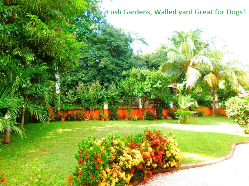 3 bed Single Family Homes For Sale in Playas Del Coco, Guanacaste - thumb 4