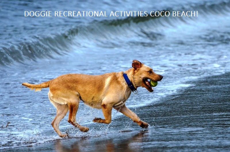 3 bed Single Family Homes For Sale in Playas Del Coco, Guanacaste - thumb 21
