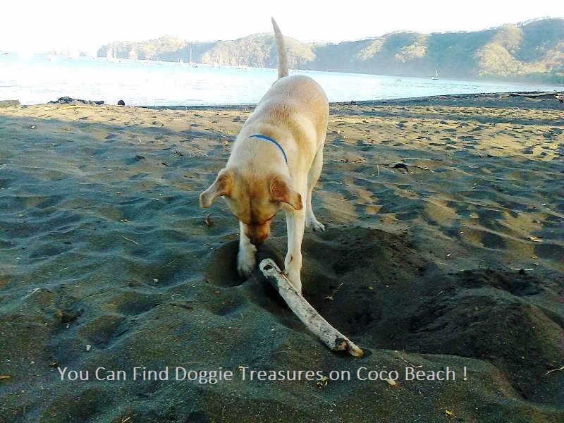 3 bed Single Family Homes For Sale in Playas Del Coco, Guanacaste - thumb 22