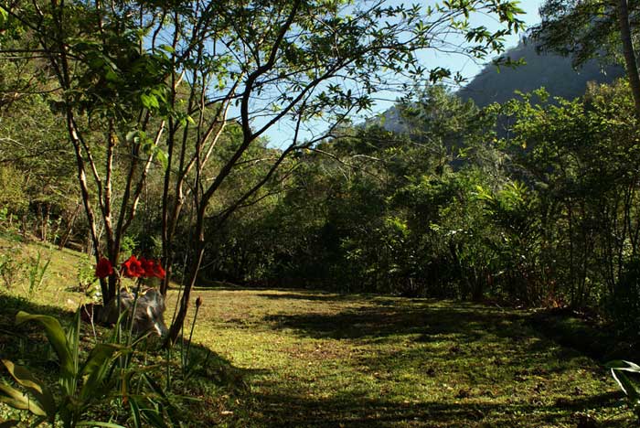 0 bed Land For Sale in Rivas, San Jose - thumb 18