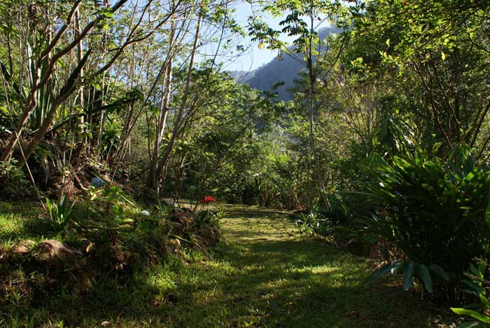 0 bed Land For Sale in Rivas, San Jose - thumb 16