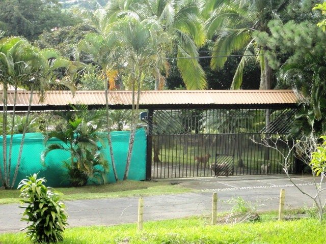 4 bed Single Family Homes For Sale in La Garita, Alajuela - thumb 24