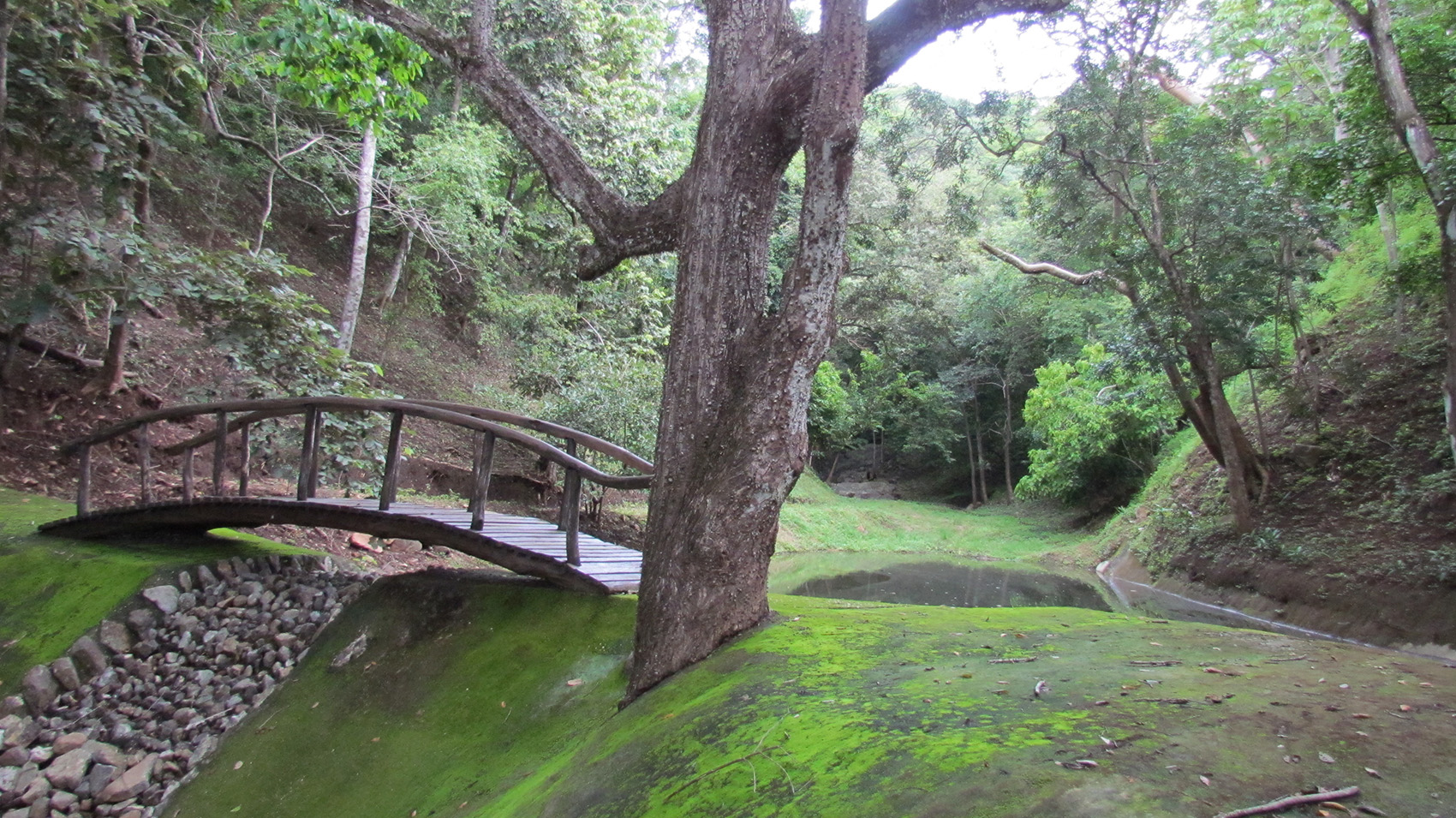 0 bed Land For Sale in Santa Cruz, Guanacaste - thumb 6