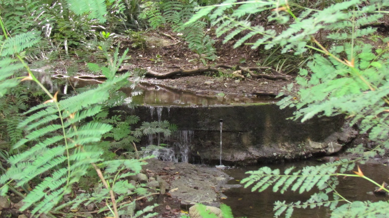 0 bed Land For Sale in Santa Cruz, Guanacaste - thumb 12