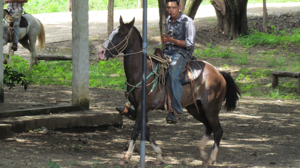 0 bed Land For Sale in Santa Cruz, Guanacaste - thumb 15