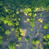  - 227 Acre Eco Farm in Uvita