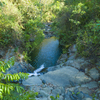  - 227 Acre Eco Farm in Uvita