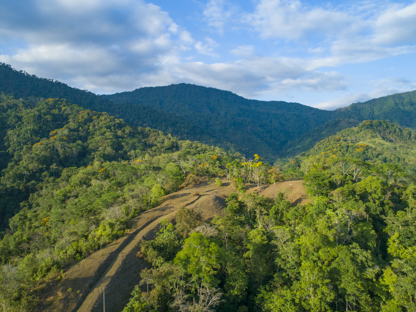 0 bed Land For Sale in Uvita, Puntarenas - thumb 18
