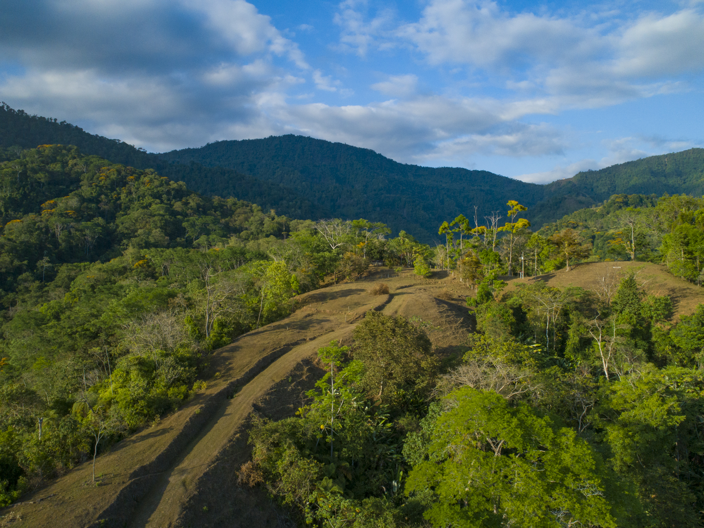 0 bed Land For Sale in Uvita, Puntarenas - thumb 22